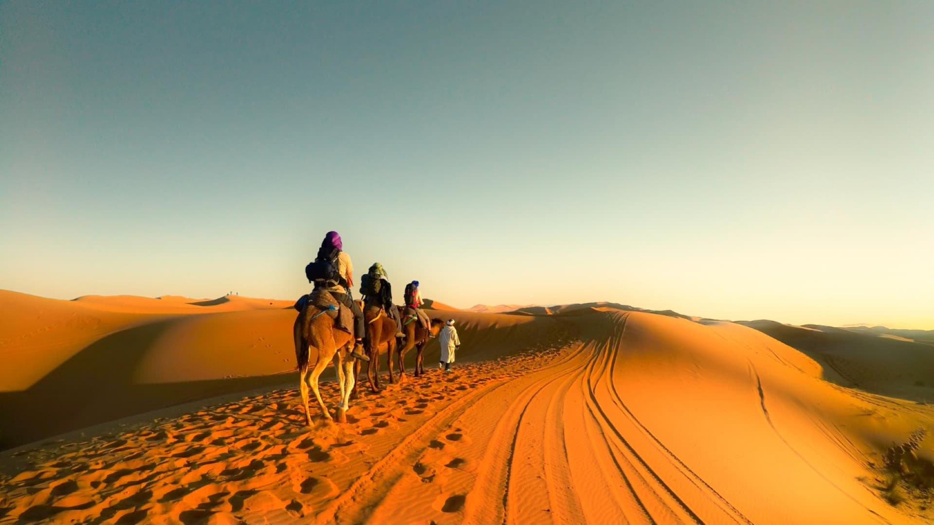 Desert Safari Adventure